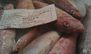 348SALMONETES
