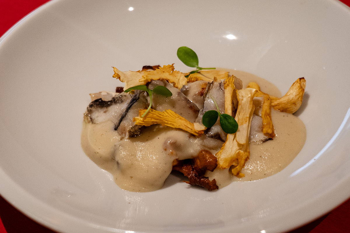 Kokochas de merluza Incorrecte